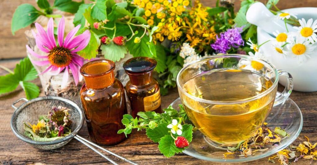 Infusions d'herbes pour le traitement de l'ostéochondose cervicale